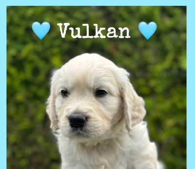 Vulkan 