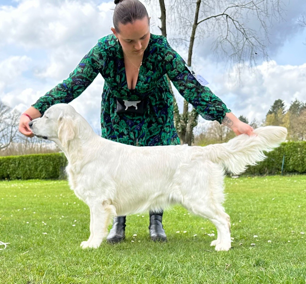 Ultime sensation De L'Orée Du Royaume De Nala