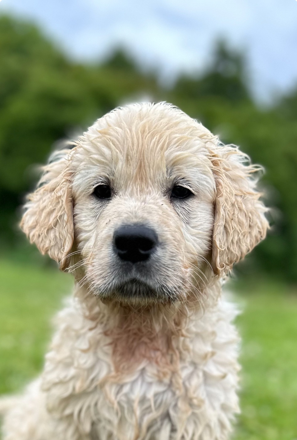 Vivre ou survivre De L'Orée Du Royaume De Nala