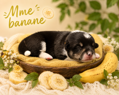 Mme banane