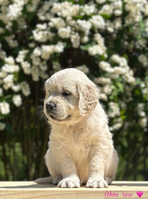 May