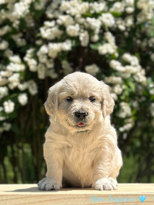 April